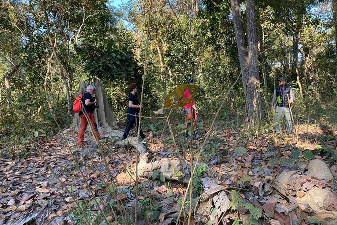 1 Night 2 Days Chitwan Jungle Safari Tour from Kathmandu - Price and value: is $155 a good deal for this short safari?