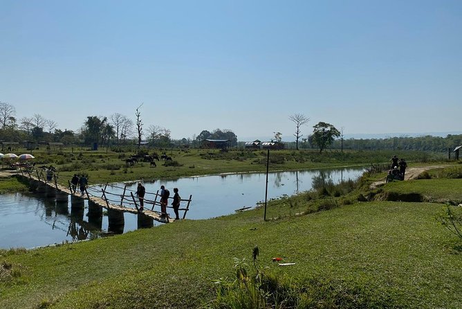 1 Night 2 Days Chitwan Jungle Safari Tour from Kathmandu - Logistics, group size, and the bumpy-road reality check