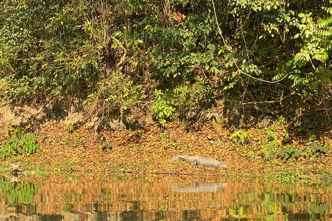 1 Night 2 Days Chitwan Jungle Safari Tour from Pokhara or Kathmandu - Entering Chitwan National Park by Jeep and Sunset Views