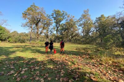 1 Night 2 Days Chitwan Jungle Safari Tour from Pokhara or Kathmandu - Transport From Kathmandu or Pokhara: Comfortable, But Plan for a Long Ride
