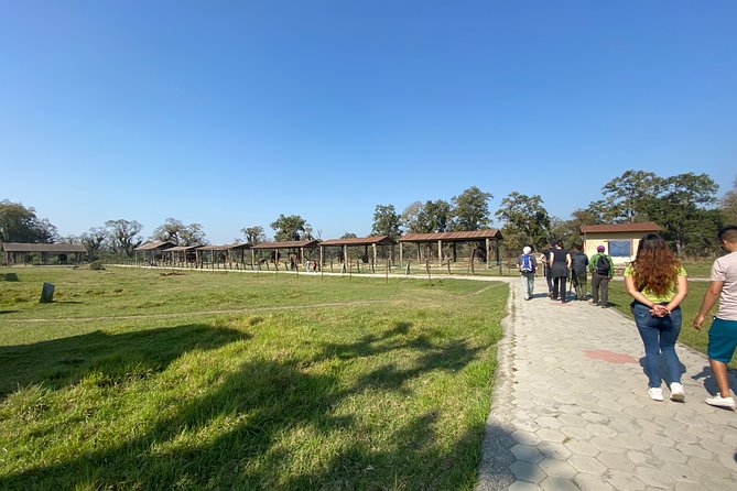 1 Night 2 Days Chitwan Jungle Safari Tour from Pokhara or Kathmandu - Price and Value: Is $140.80 a Fair Deal for a One-Night Safari?