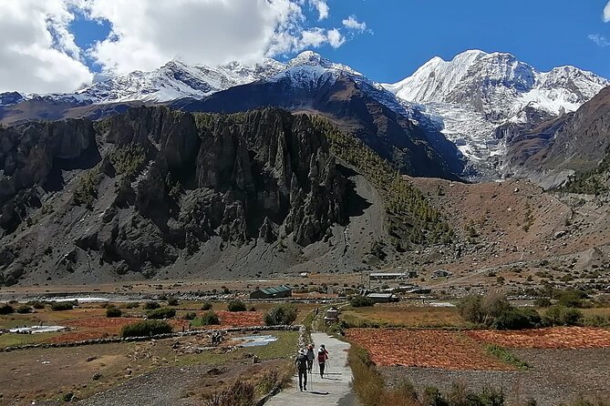 10 Days Annapurna Circuit Trek - How the Trek Ramps Up: Altitude, Effort, and What to Expect