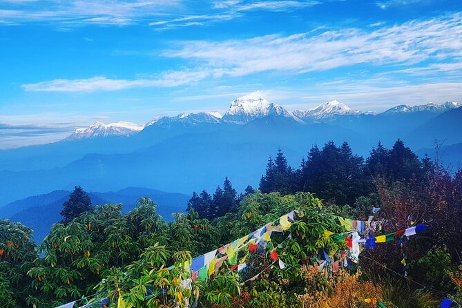 11-Day Hike Tour to Annapurna Base Camp Bliss in Kathmandu - Entering Kathmandu mode: meeting points, the first night, and why it matters
