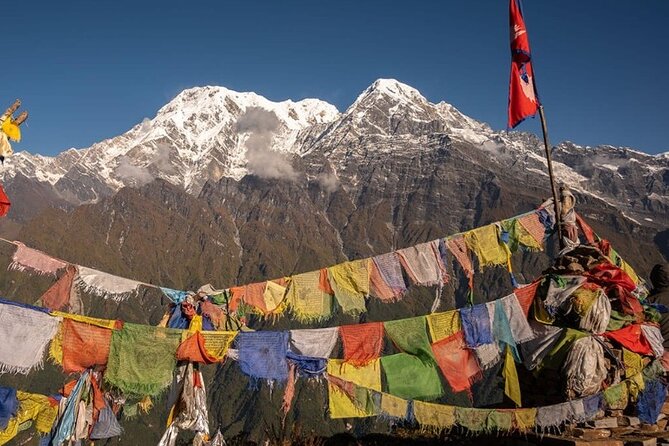 12 Days Annapurna Base Camp Trek - Morning sunrise, then the long descent: Bamboo, Deurali, and MBC again