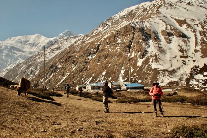 14 Days Annapurna Circuit Trek - Thorong Phedi and the pass: early start, steep effort, big reward