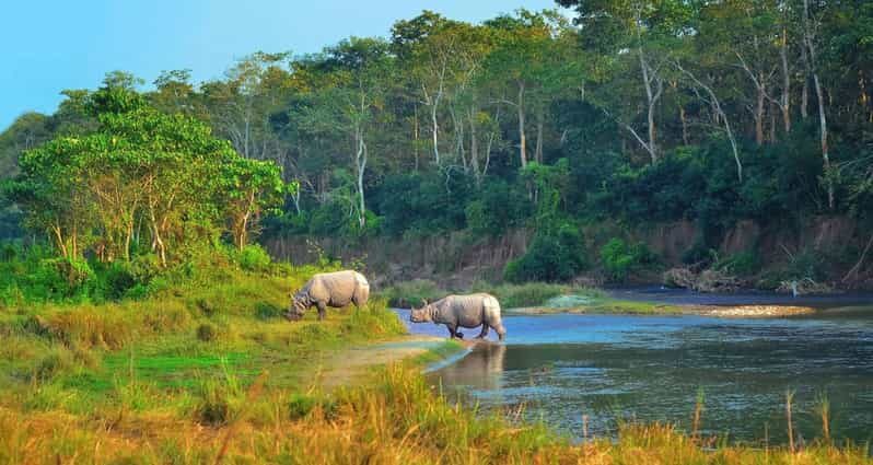2 Days Chitwan Jungle Safari Tour from Pokhara/Kathmandu - Who This 2-Day Chitwan Safari Suits Best