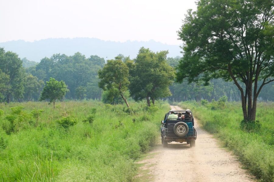 2 Days Chitwan Jungle Safari Tour from Pokhara/Kathmandu - Should You Book This 2-Day Chitwan Jungle Safari Tour?