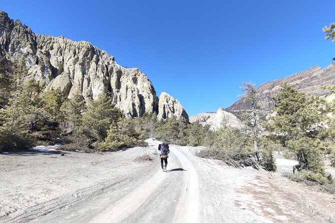 20 Days Annapurna Circuit Trek - Thorong La Pass day: early start, steep strain, and Muktinath relief
