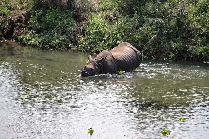 3-Day Chitwan Jungle Safari Tour from Kathmandu - Chitwan in three days: what you do (and why it works)