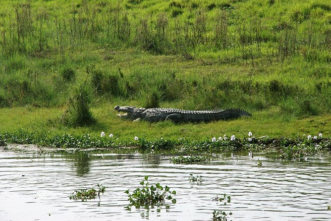 3-Day Chitwan Jungle Safari Tour from Kathmandu - Hotel and meals: does this tour feel like value or expense?