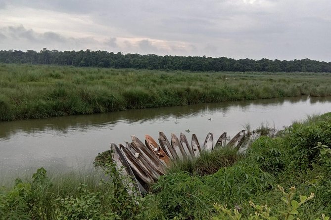 3-Day Chitwan Jungle Safari Tour from Kathmandu - Wildlife chances: rhinos, crocodiles, and the tiger question
