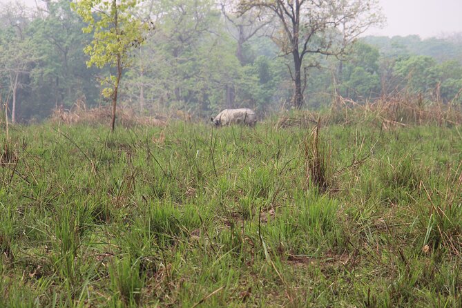 3-Day Chitwan National Park Jungle Safari Tour Package with Pick Up - Day 2 morning canoe ride on the Rapti River