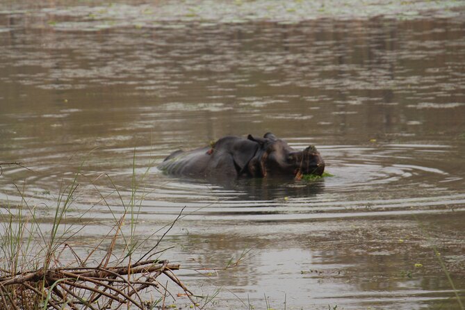 3-Day Chitwan National Park Jungle Safari Tour Package with Pick Up - Who the tour is best for (and where it may not fit)