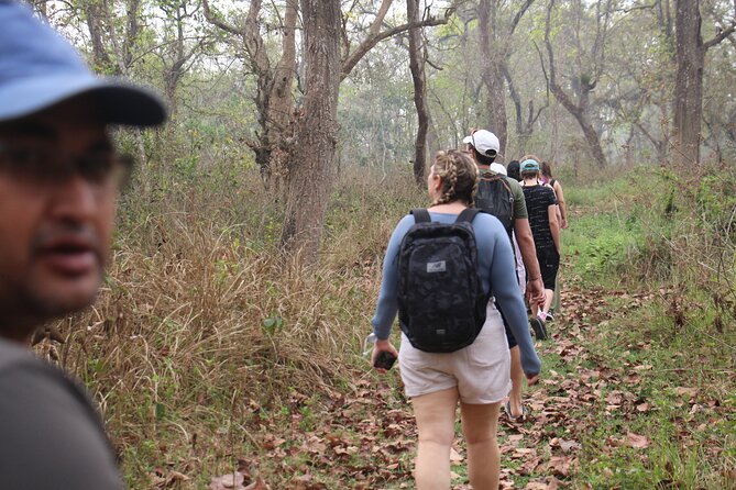 3-Day Chitwan National Park Jungle Safari Tour Package with Pick Up - Getting from Kathmandu to Chitwan without losing your day