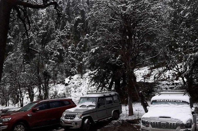 3 Days Kalinchowk Trekking from Kathmandu - Guides, Permits, and Peace of Mind (The Real Secret Sauce)