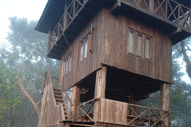 3 Nights 4 Days Chitwan National Park with Tower Night Stay - Key Things I’d Focus On