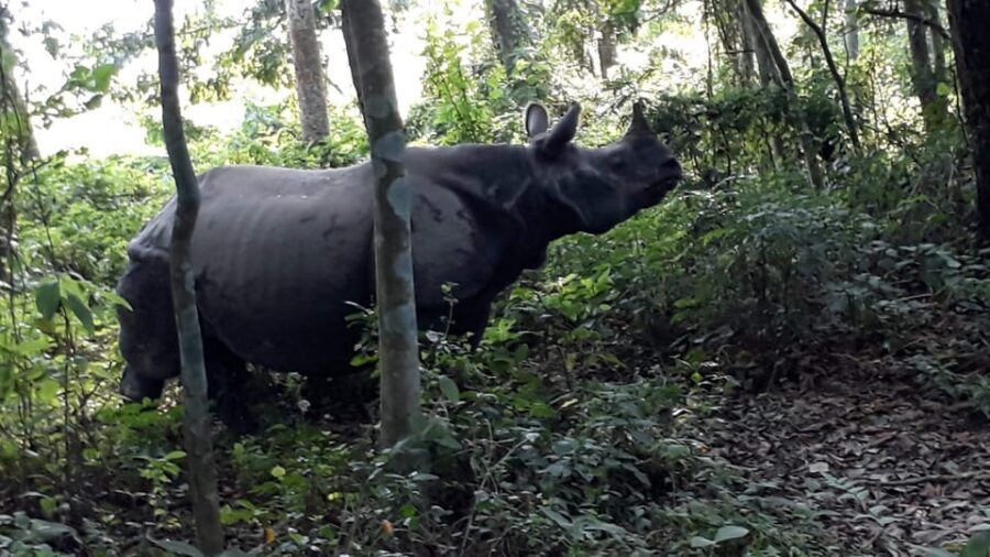 3 Nights 4 Days Chitwan National Park with Tower Night Stay - Packing Tips That Actually Help on Safari Days
