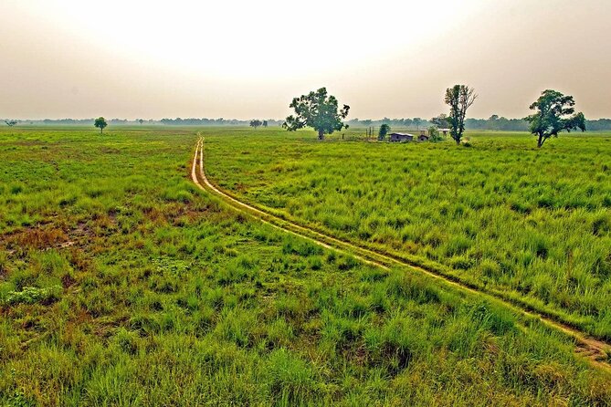 3 Nights 4 Days Chitwan National Park with Tower Night Stay - Why Chitwan National Park Feels Different Than Most Wildlife Trips