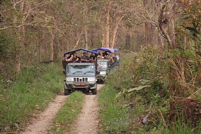 3 Nights 4 Days Chitwan National Park with Tower Night Stay - Day 1: Tharu Village, Rapti River Sunset, and Your First Proper Chitwan Night