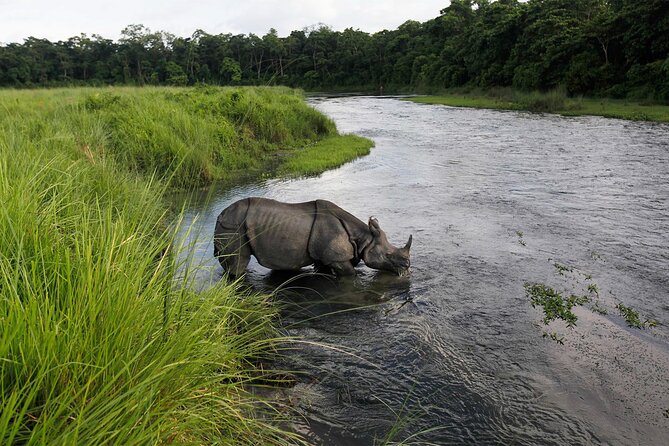 3 Nights 4 Days Chitwan National Park with Tower Night Stay - Day 2: Canoe on the Rapti, Bird Watching, and the Wooden Tower Night
