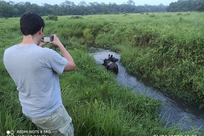 3 Nights 4 Days Chitwan National Park with Tower Night Stay - What You Might See: Rhinos, Tigers, Elephants, and Bird Life