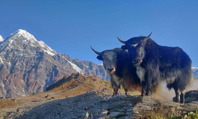 4 Days Pikey Peak Trek : The Best View of Mt Everest - Price and logistics: does $350 feel like good value?