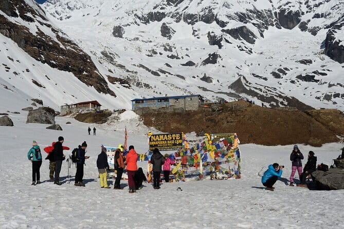 5 Day Private Guided Trekking in Annapurna Base Camp - Day 3: rhododendron forests, possible yak herders, and reaching ABC