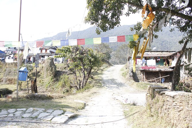 7 Days Langtang Valley Trek from Kathmandu - Day 2: Lama Hotel via Langtang Khola—Tea Houses, Suspension Bridges, and Forest Walking