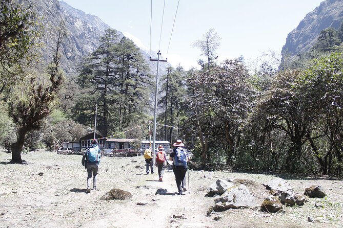 7 Days Langtang Valley Trek from Kathmandu - Day 5: Kyanji Viewpoint at Sunrise, Then Down to Lama Hotel