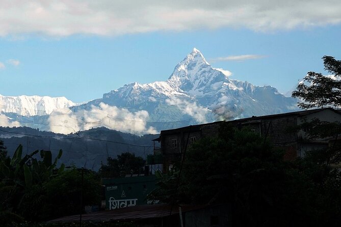 8 Days Tour in Nepal (3 Star Accommodation) - Chitwan Safari Days: Bird Watching, Jungle Drive, and What You Can Expect
