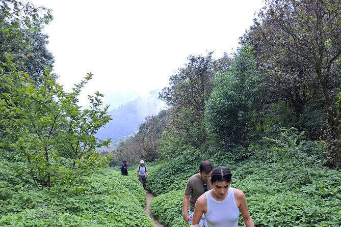 Amazing 1 Day Trekking Experience in Kathmandu Nepal - Taudaha Lake: Where the Valley Turns Quiet