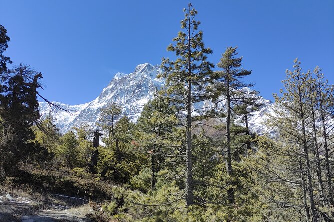 Annapurna Base Camp Trek 10 Days - Key highlights worth knowing