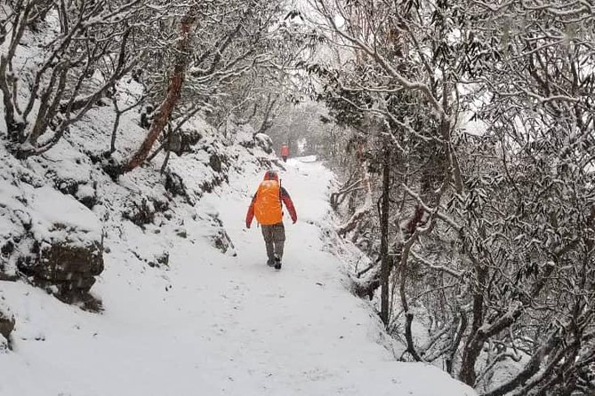 Annapurna base camp trek 5 Days - What you’re paying for: value in gear, food, and permits