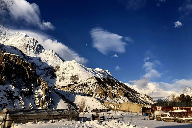 Annapurna Circuit Trek - Thorong La Pass to Muktinath: the hard day and the payoff