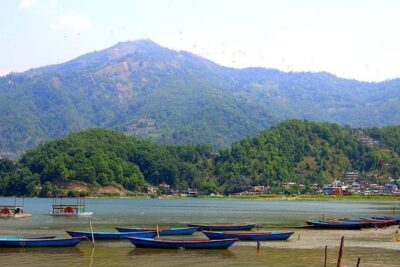 Best Nepal Tour: Kathmandu Pokhara Chitwan Tour - Days 2 and 3 in Chitwan: jeep safari, canoeing, and jungle walks