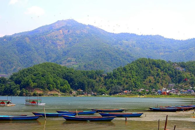 Best Nepal Tour: Kathmandu Pokhara Chitwan Tour - Days 2 and 3 in Chitwan: jeep safari, canoeing, and jungle walks