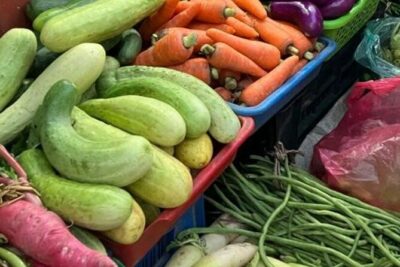 Best Nepali Cooking Class in Thamel with Local Market Trip - The Local Market Trip: Your Ingredient Scavenger Hunt