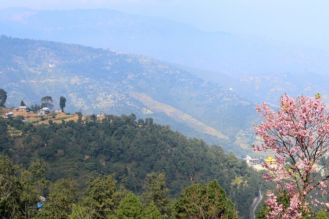 Changunarayan Hill to Telkot Hike Near Kathmandu Day Tour - Tea-stall viewpoints and bird chances over the Kathmandu valley