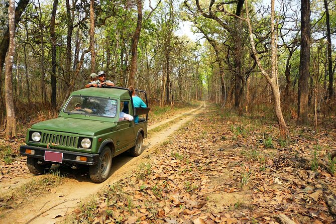 Chitwan Jungle Safari 3-Day Tour - Kathmandu pickup and the drive to Chitwan: starting at 6:30am