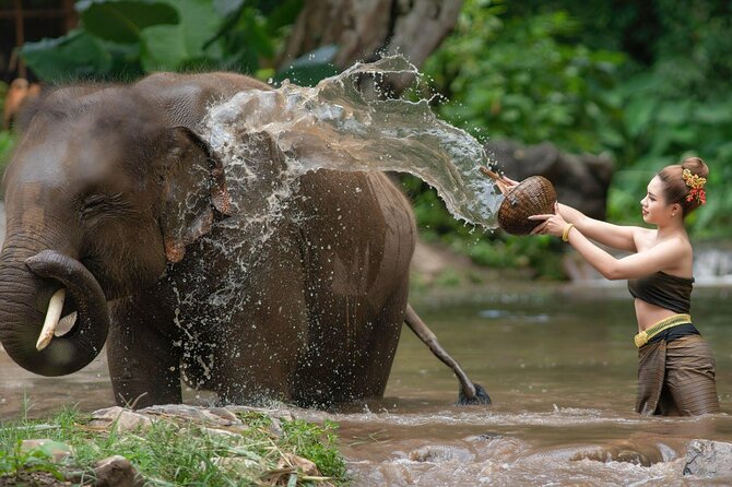 Chitwan National Park Tour - The Jungle Lodge Night: Why Staying Overnight Changes the Game