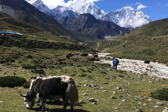 Everest Base Camp Helicopter Tour landing at Everest View Hotel - Weather is the whole game: what to expect when visibility changes