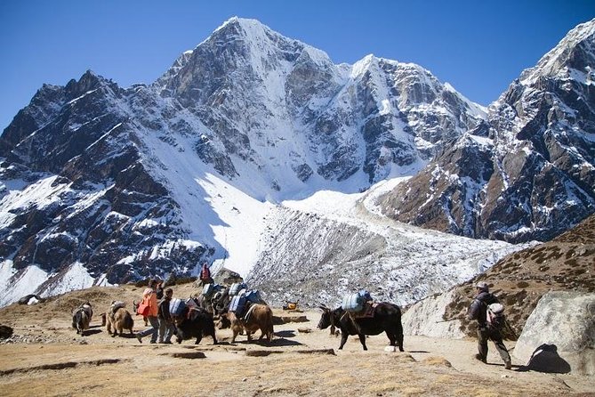 Everest Base Camp Trek with Helicopter Return to Lukla - 10 Days - Key highlights you’ll feel on the trail