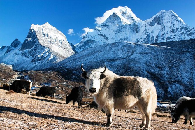 Everest Base Camp Trekking - Key things I’d circle before you go