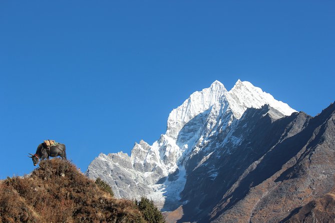 Everest Three Pass Trek - Price and value: what $1,800 covers (and what it doesn’t)