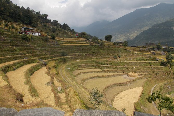Experiential Career Break trip to Nepal for Gap year and Sabbatical travelers - Why This 9-Day Break Feels Different in Nepal