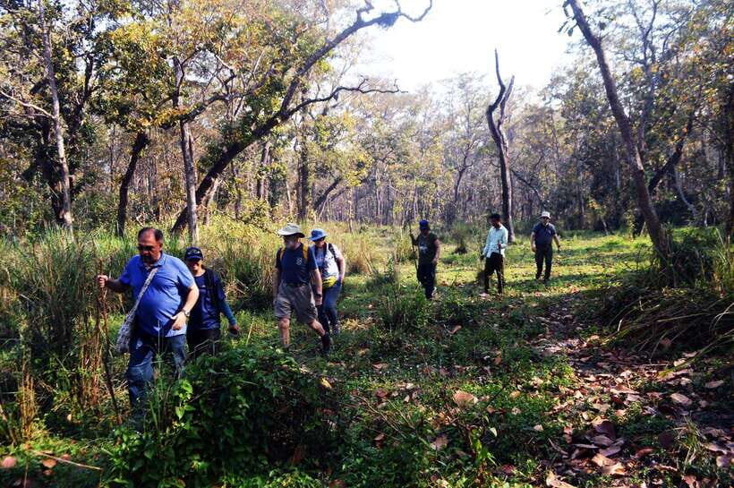 From Kathmandu/Pokhara: 2, 3, or 4-Day Chitwan Jungle Safari - Chitwan Jungle Safari: what you’re really buying