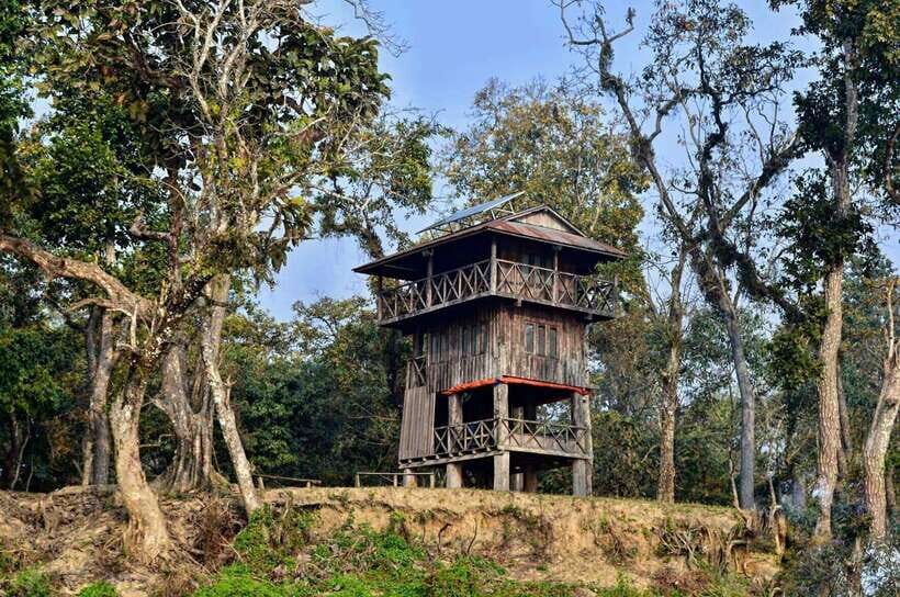 From Kathmandu/Pokhara: 2, 3, or 4-Day Chitwan Jungle Safari - The 2-day Chitwan plan: maximum safari time, minimal buffer