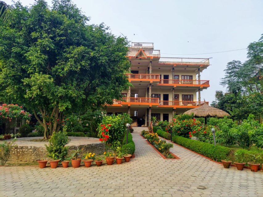 From Kathmandu/Pokhara: 3-Day All-Inclusive Chitwan Safari - Safety, Risk, and One Hard Note About Walking Safaris