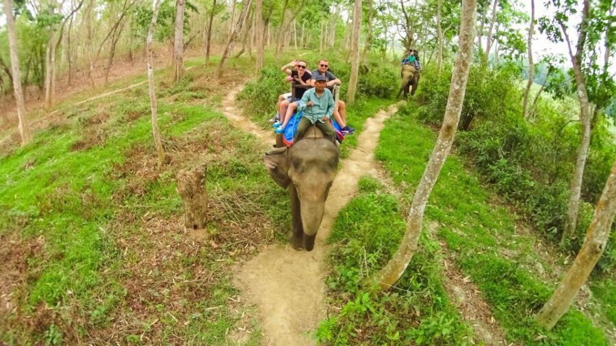 From Kathmandu/Pokhara: 3-Day All-Inclusive Chitwan Safari - Price and Value: What $149 Really Covers