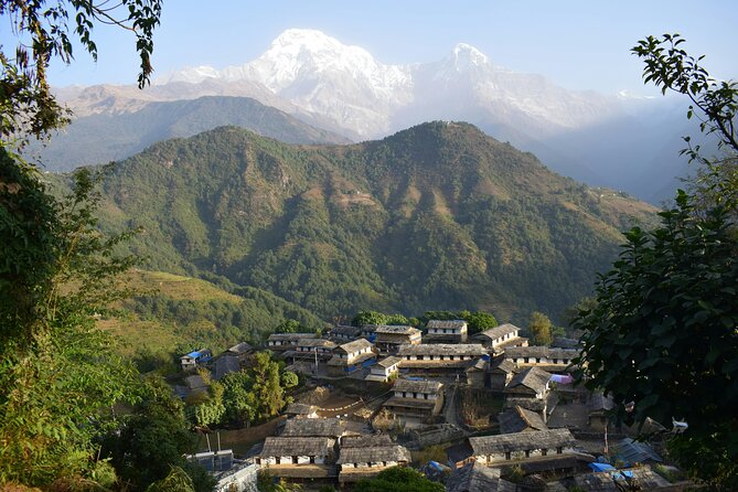 Ghorepani Ghandruk Wellness Yoga Trek - Day 4 to Ghorepani: The Tough Climb You’ll Be Ready For